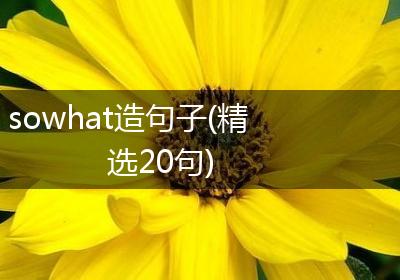 sowhat造句子(精选20句)