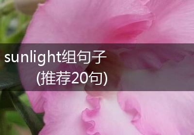 sunlight组句子(推荐20句)