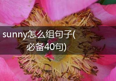 sunny怎么组句子(必备40句)