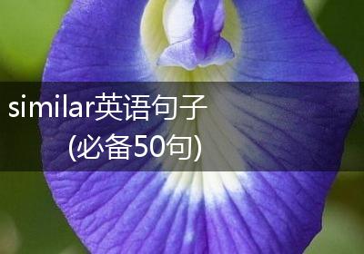 similar英语句子(必备50句)