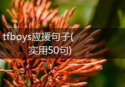 tfboys应援句子(实用50句)