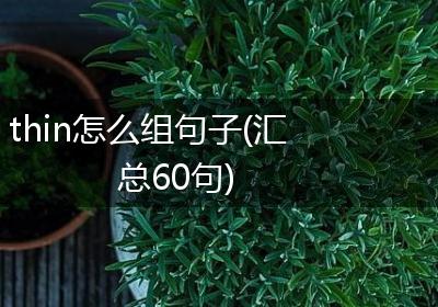 thin怎么组句子(汇总60句)