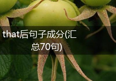 that后句子成分(汇总70句)