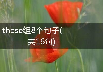 these组8个句子(共16句)