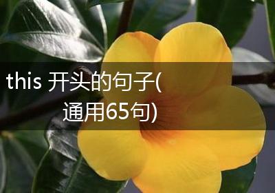 this 开头的句子(通用65句)