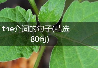 the介词的句子(精选80句)