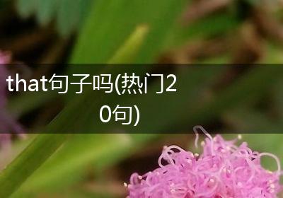 that句子吗(热门20句)