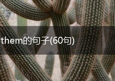 them的句子(60句)