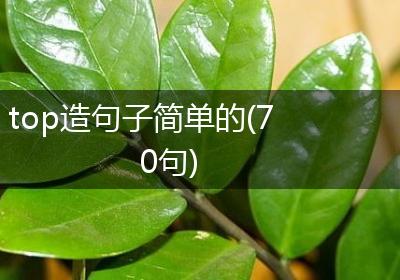 top造句子简单的(70句)