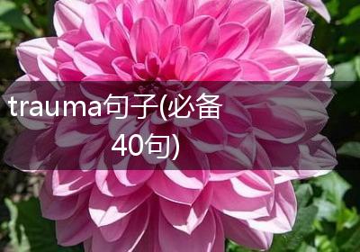 trauma句子(必备40句)