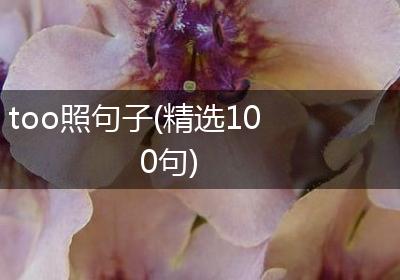 too照句子(精选100句)