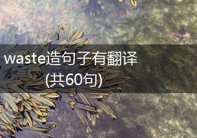 waste造句子有翻译(共60句)