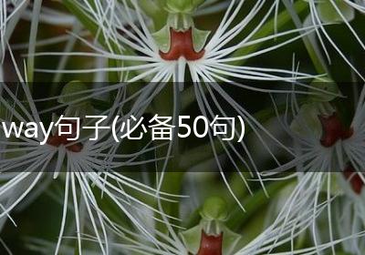 way句子(必备50句)