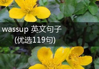 wassup 英文句子(优选119句)