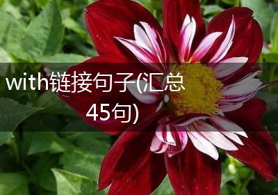 with链接句子(汇总45句)