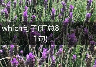 which句子(汇总81句)
