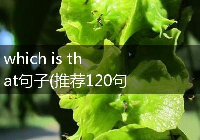 which is that句子(推荐120句)
