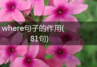 where句子的作用(81句)