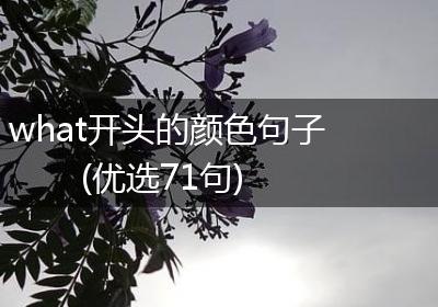what开头的颜色句子(优选71句)