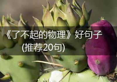 《了不起的物理》好句子(推荐20句)