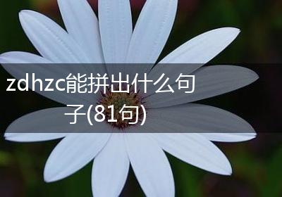 zdhzc能拼出什么句子(81句)