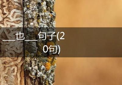 ___也___句子(20句)