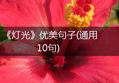 《灯光》优美句子(通用10句)