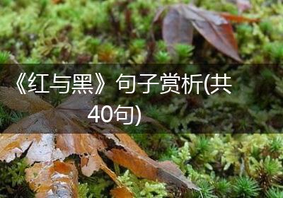 《红与黑》句子赏析(共40句)