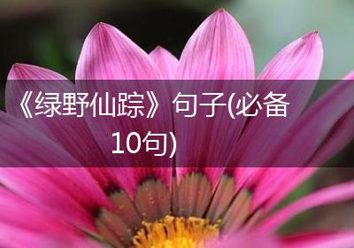《绿野仙踪》句子(必备10句)