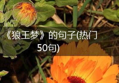 《狼王梦》的句子(热门50句)