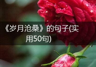 《岁月沧桑》的句子(实用50句)