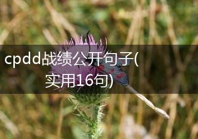 cpdd战绩公开句子(实用16句)