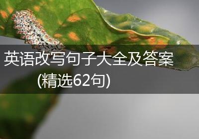 英语改写句子大全及答案(精选62句)