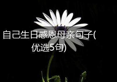 自己生日感恩母亲句子(优选5句)