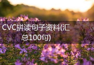 CVC拼读句子资料(汇总100句)