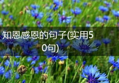 知恩感恩的句子(实用50句)