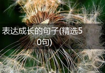 表达成长的句子(精选50句)
