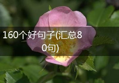 160个好句子(汇总80句)