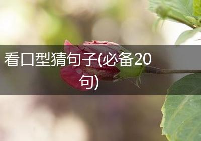 看口型猜句子(必备20句)
