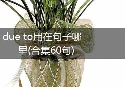 due to用在句子哪里(合集60句)