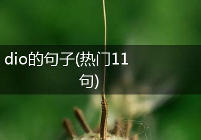dio的句子(热门11句)