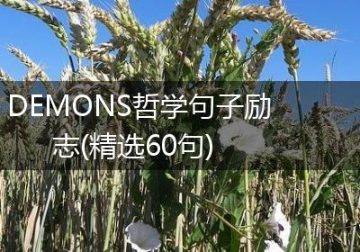 DEMONS哲学句子励志(精选60句)