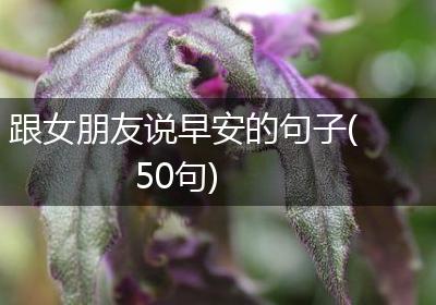 跟女朋友说早安的句子(50句)