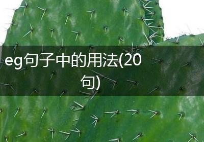 eg句子中的用法(20句)