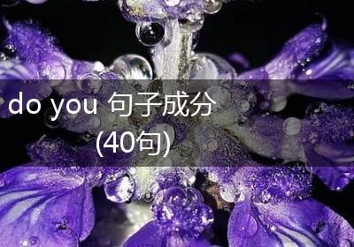 do you 句子成分(40句)