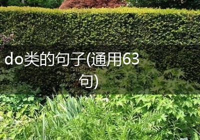 do类的句子(通用63句)