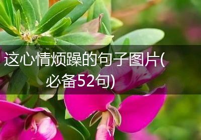 这心情烦躁的句子图片(必备52句)