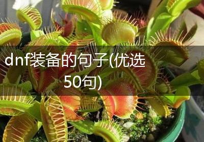 dnf装备的句子(优选50句)