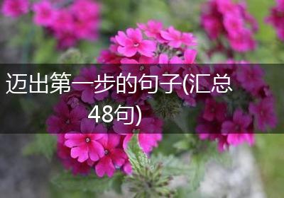 迈出第一步的句子(汇总48句)