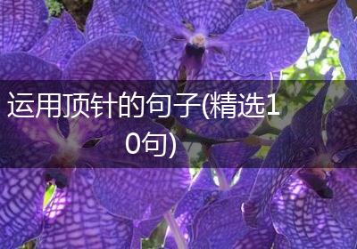 运用顶针的句子(精选10句)